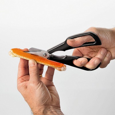 SCAMPO 6925503 - Image 3